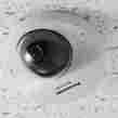 Wv-sf1322 Wv-sf132 Panasonic Vga 640x480 H.264 Dome Poe Camera 0.32 Megapixel 885170047006