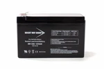 Tripp Lite HT850UPS 12V 9AH F2 Replacement Battery. Fixed Price $23.99.
