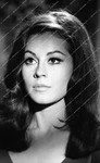 ST-550 Sherry Jackson Tv Orig Star Trek Ep What Are Little Girls Made Of. Fixed Price $30.99.