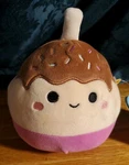 Jazwares Squishmallows Robin The Chocolate-dipped Cake Pop 5" Plush Toy. Fixed Price $7.97.