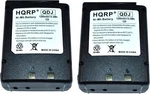 2-PACK Battery For Icom IC-A3E IC-A22E CM-166 BP-166 Two-way Radio. Fixed Price $59.95.