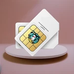 Global Data Sim Card Inrico S100 S200 S300 T320 N61 IRC380 IRC590 Network Radio. Fixed Price $115.00.